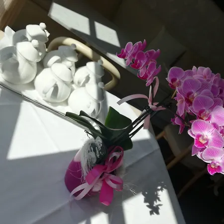 Eden סיסטיאנה